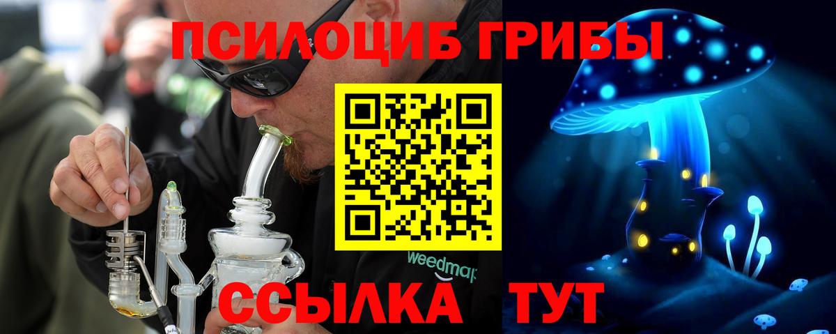 Псилоцибиновые грибы Psilocybine cubensis Обь